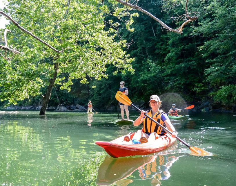 Bryson City: Fontana Lake Guided Kayak Tour - Key Points