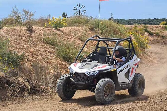 Buggy for Children in Mallorca - Key Points