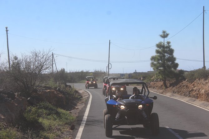 Buggy Safari Adventure 700cc - Pricing and Booking Details