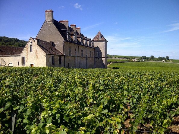 Burgundy Cote De Nuits Private Day Tour With Tastings From Beaune or Dijon - Key Points