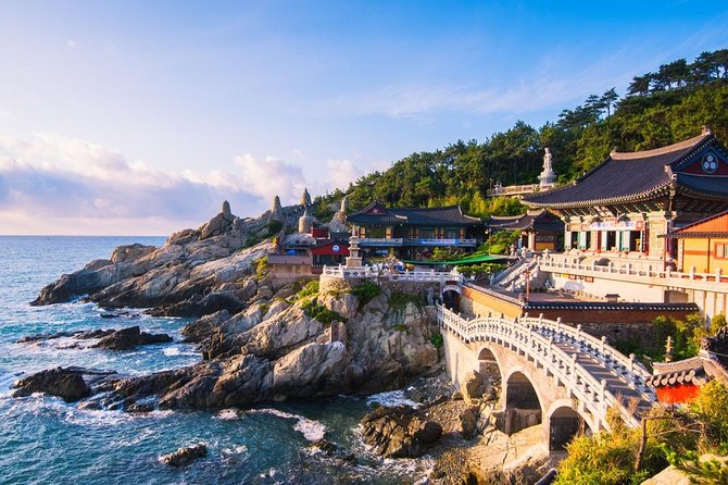 Busan: Fully Customizable Private Tour - Key Points
