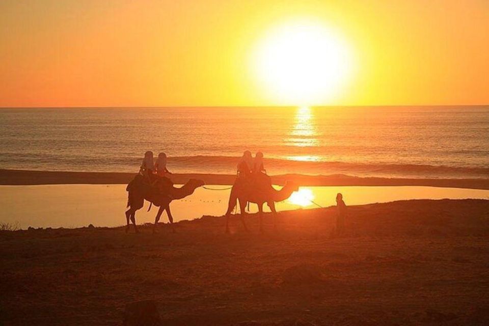 Cabo: Camel Ride On The Beach - Key Points