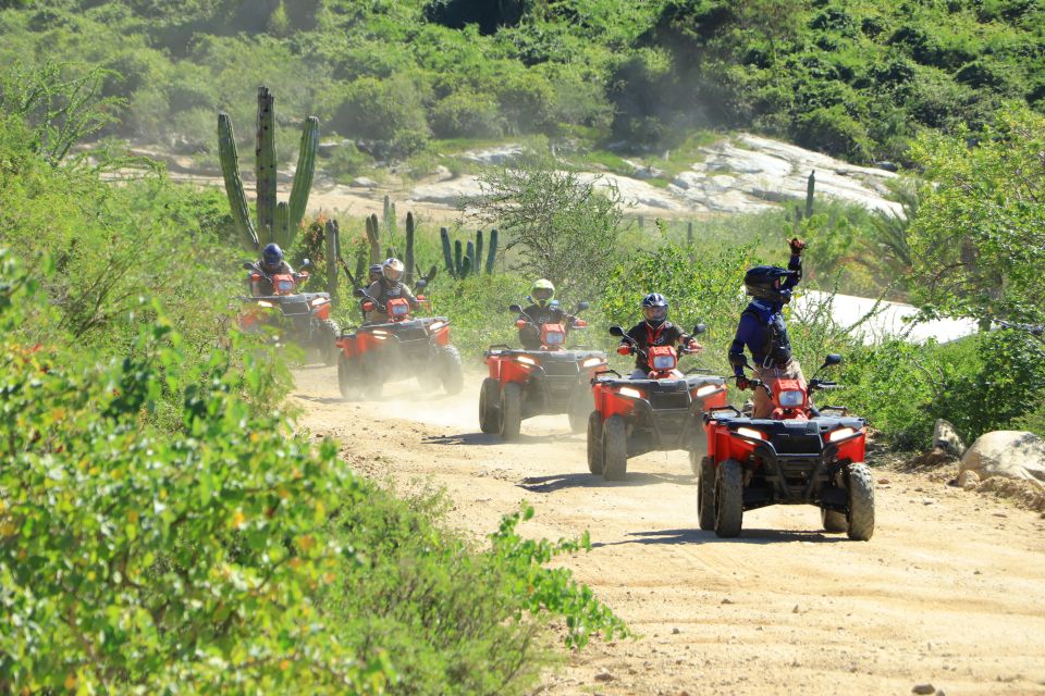 Cabo San Lucas: ATV Desert Tour With Mexican Lunch - Key Points