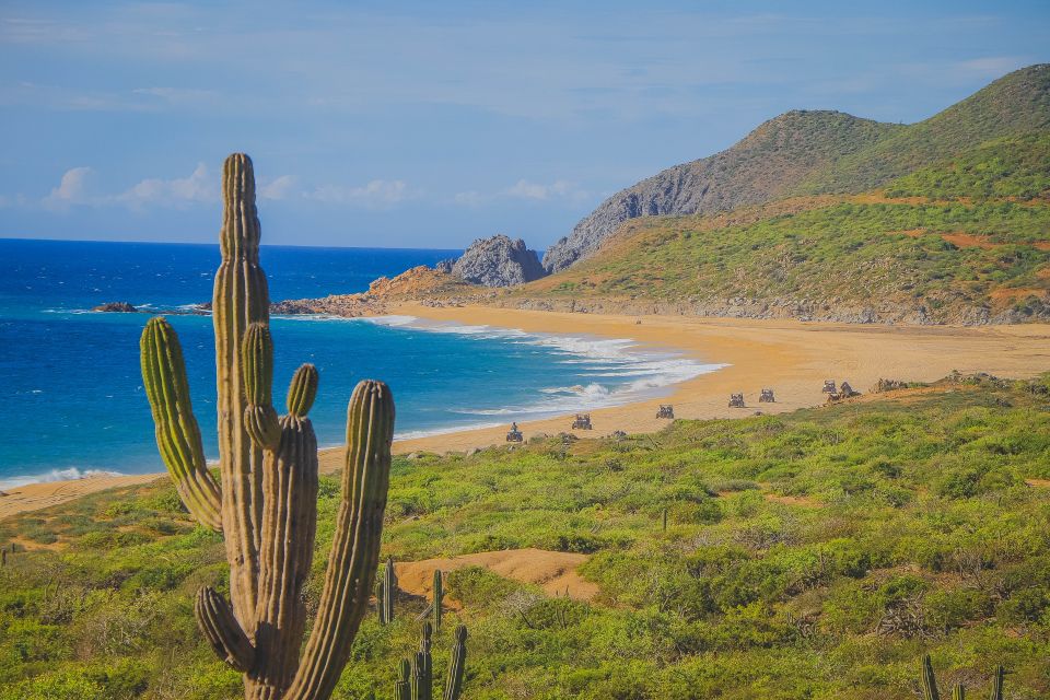 Cabo San Lucas: Beach & Desert ATV Tour With Tequila Tasting - Key Points