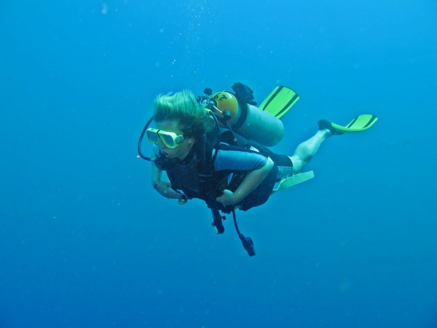 Cabo San Lucas: Beginners Diving Experience W/ Water & Snack - Booking Details