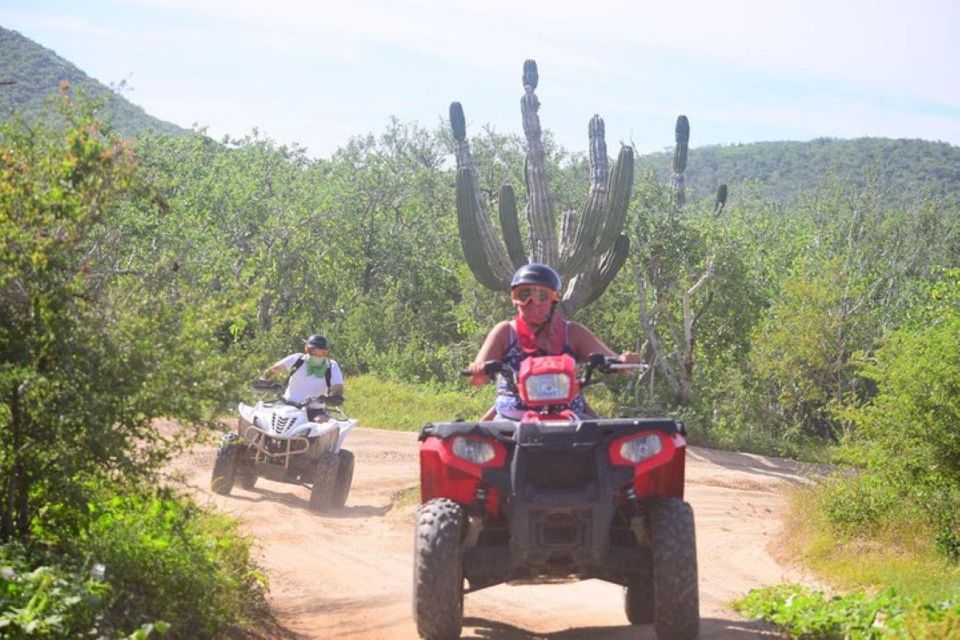 Cabo San Lucas: Cabo Original Real Baja 1000 ATV or UTV Tour - Key Points