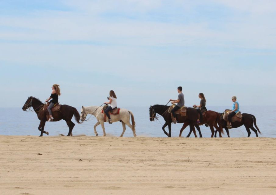 Cabo San Lucas: Horseback Riding Adventure - Key Points