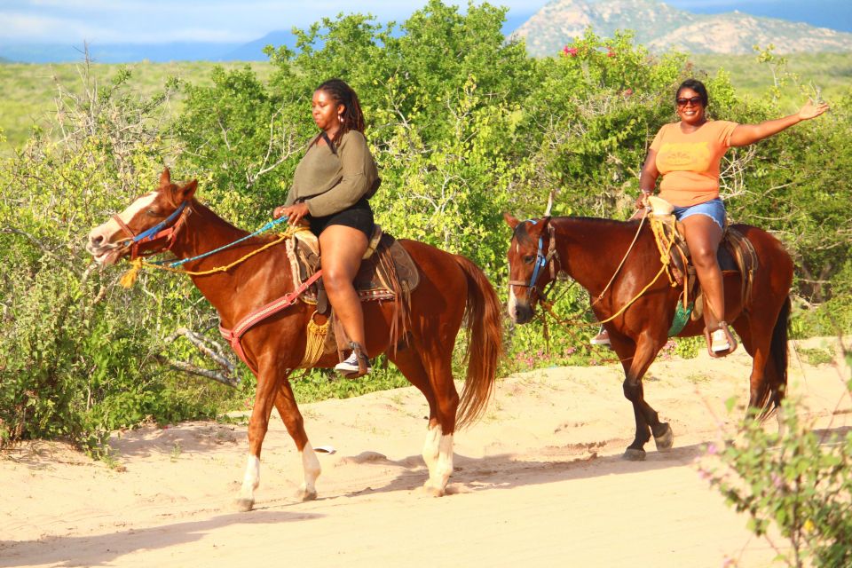 Cabo San Lucas: Horseback Riding Migriño - Key Points