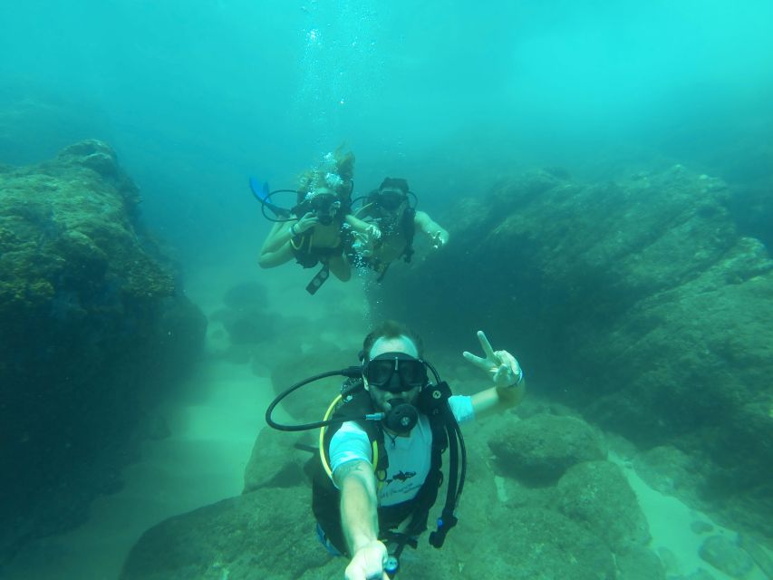Cabo San Lucas Marine Park Scuba Diving - Key Points