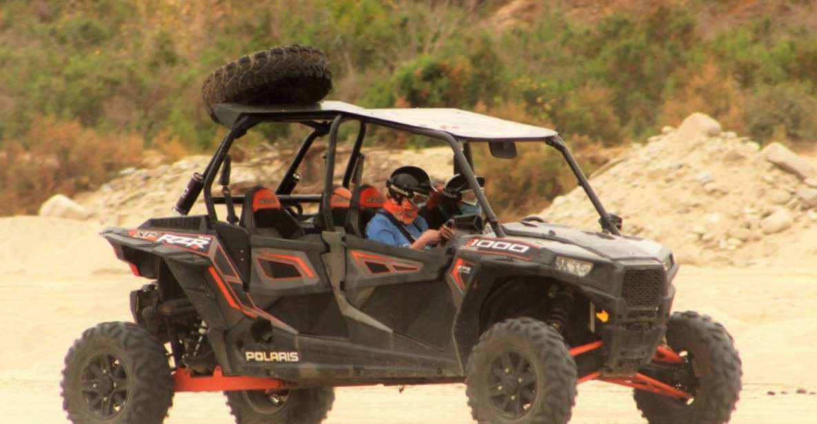 Cabo San Lucas: Migriño Beach & Desert UTV Adventure - Key Points