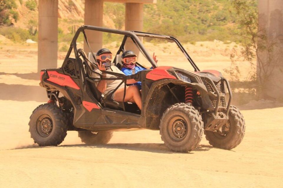 Cabo San Lucas: Migrino Beach & Desert UTV Tour - Key Points