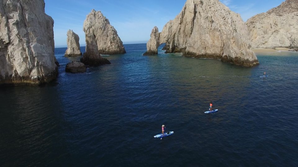 Cabo San Lucas: Paddle Boarding or Kayak and Snorkeling - Key Points