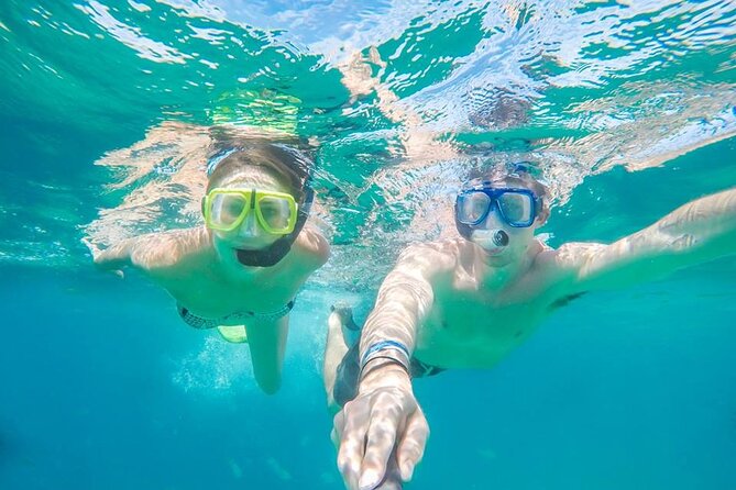 Cabo San Lucas Private Snorkeling Tour - Key Points