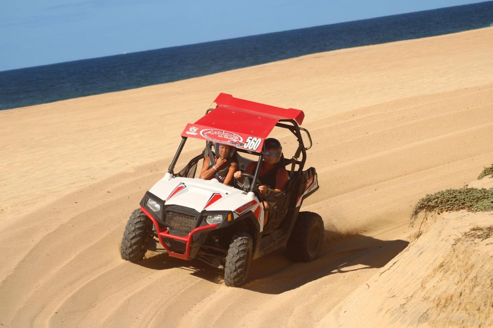 Cabo San Lucas: UTV Excursion on the Beach and in the Desert - Key Points