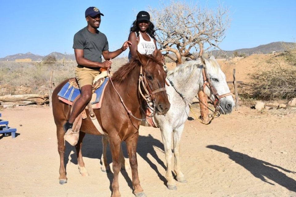 Cabo San Lucas: White Sand Horseback Adventure - Key Points