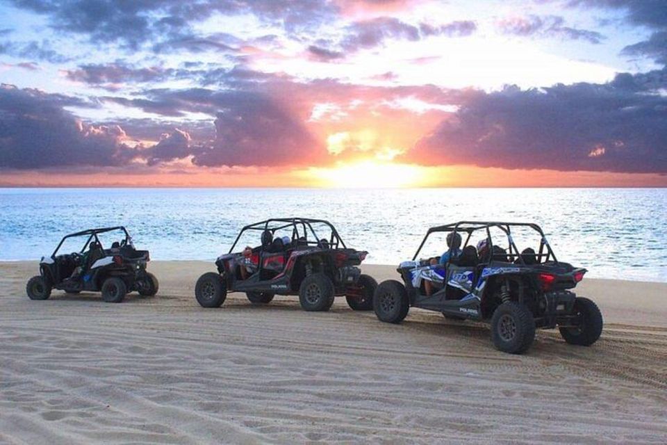 Cabo: Sunset Camel Ride and ATV Combo Adventure - Key Points