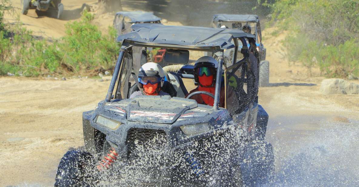 Cabo: UTV Off-Roading, Mexican Lunch, and Tequila - Key Points