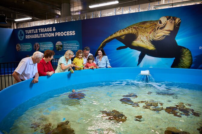 Cairns Aquarium General Admission and Turtle Hospital Tour - Key Points