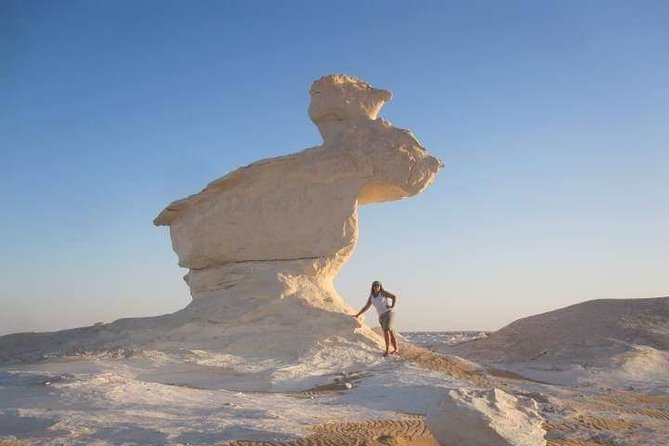 Cairo Private 2-Day Bahariya Oasis Camping Tour  - Western Desert - Key Points