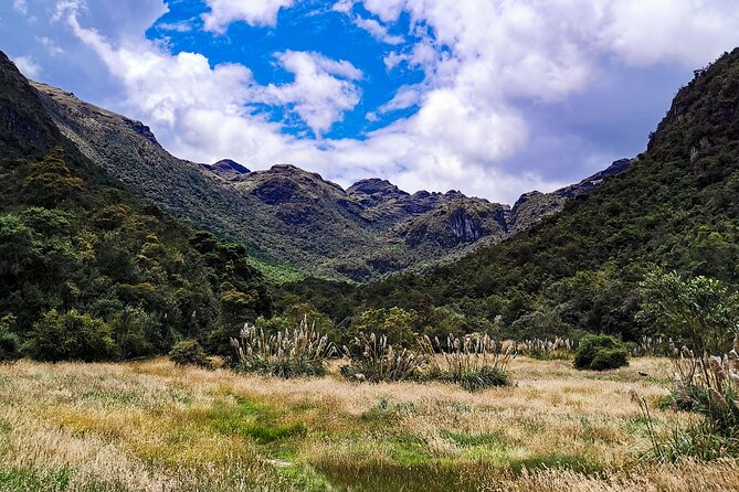 Cajas National Park Remote Valley Private Tour From Cuenca - Key Points