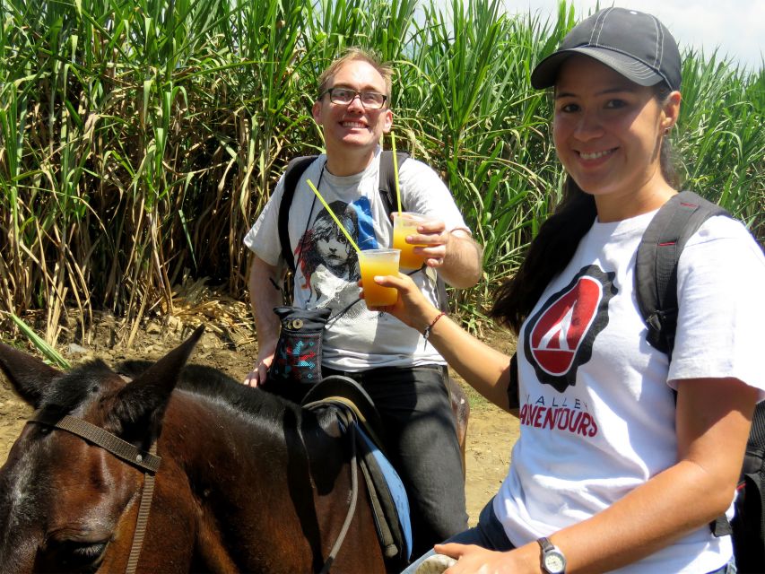 Cali: Horseback Riding - Key Points