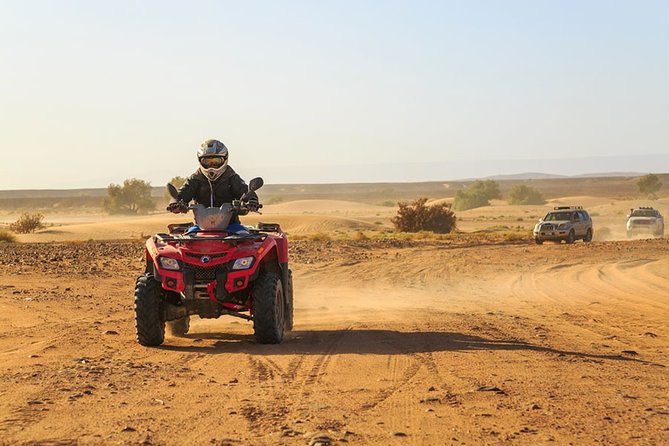 Camel and ATV Ride in the Palmeraie Near Marrakech - Key Points