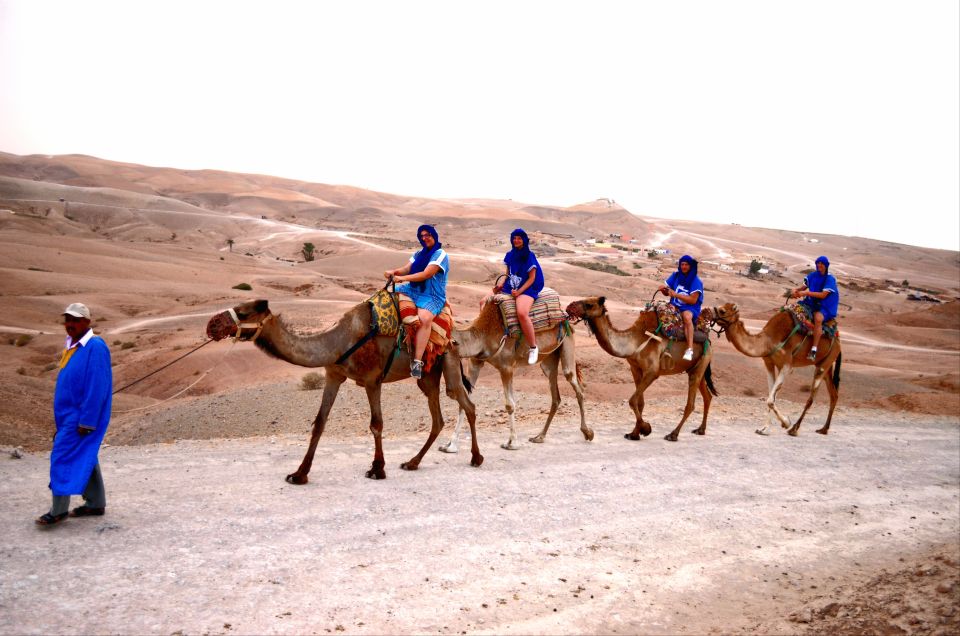Camel Ride at Agafay Desert With Dinner & Show - Key Points