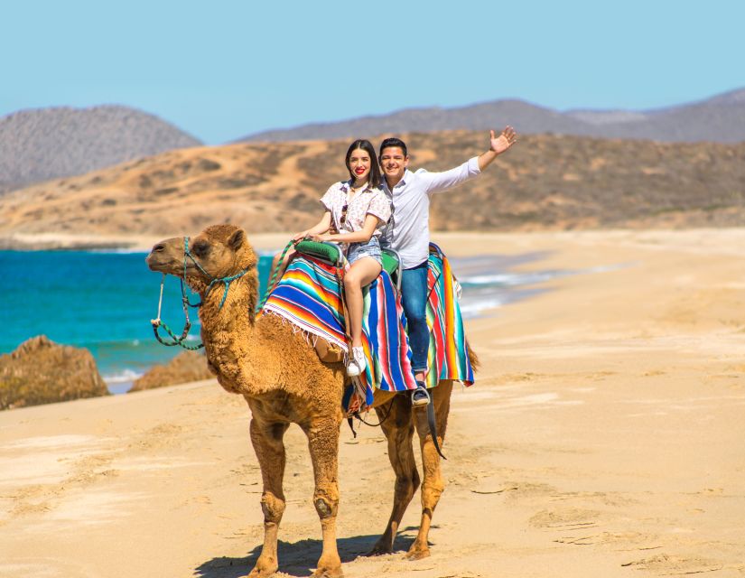 Camel Ride Beach and Desert Adventure. - Key Points