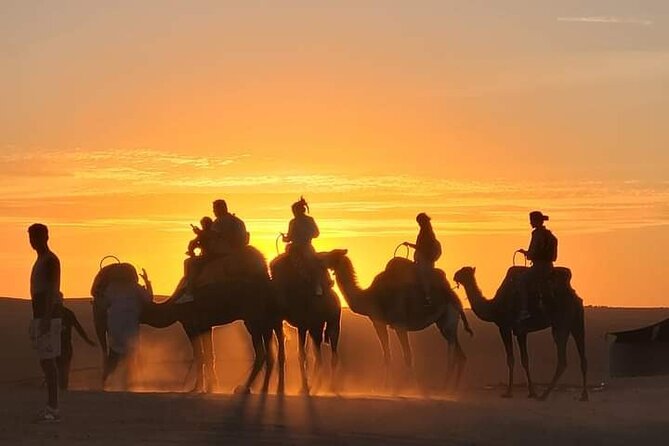 Camel Ride, Dinner Show in the Agafay Desert - Key Points