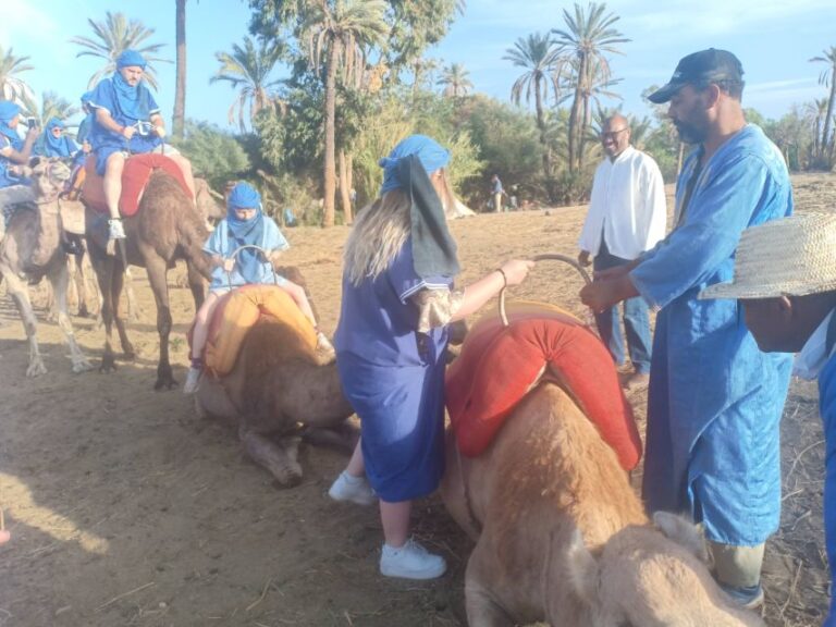 Camel Ride Tour in the Palm Grove of Marrakech