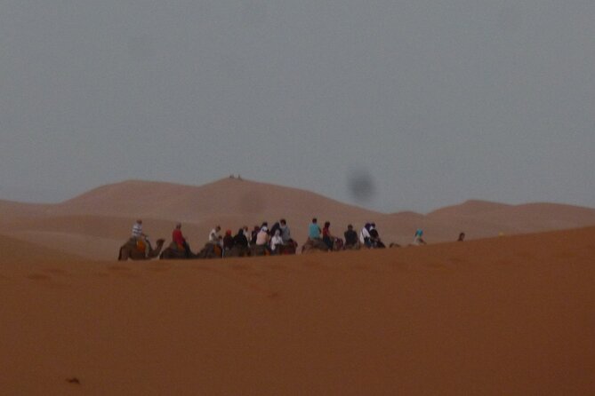 Camel Ride - What to Know Before You Go