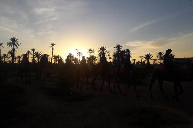 Camel Riding in Marrakech - Marrakech Camel Riding Experience