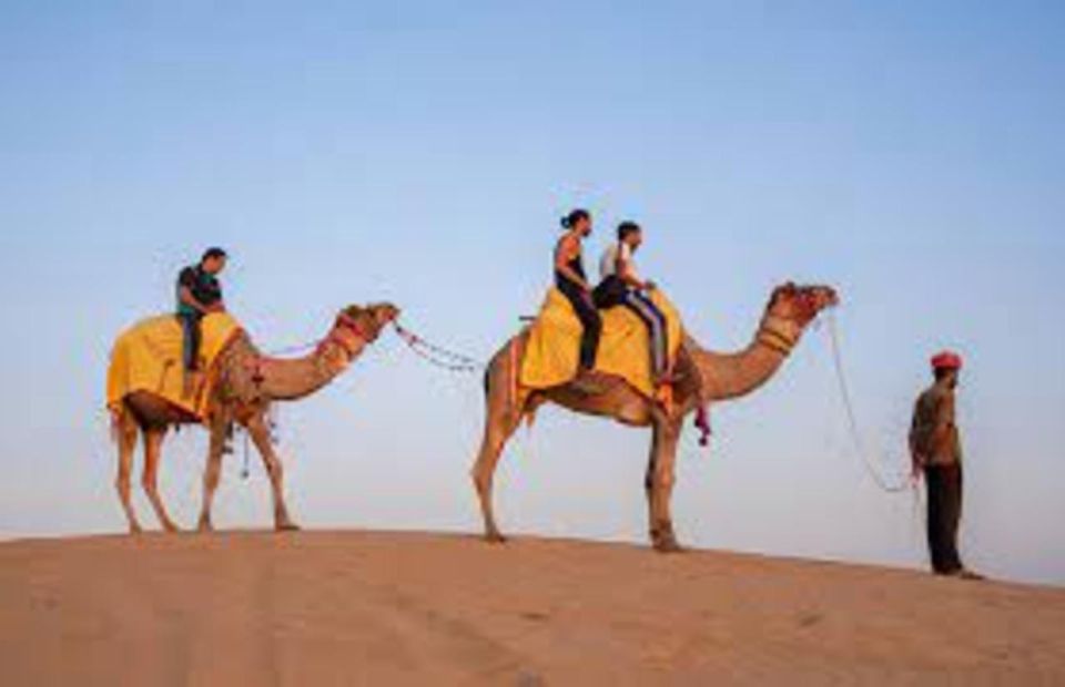 CAMEL SAFARi !n 0sian DeSERT - Key Points