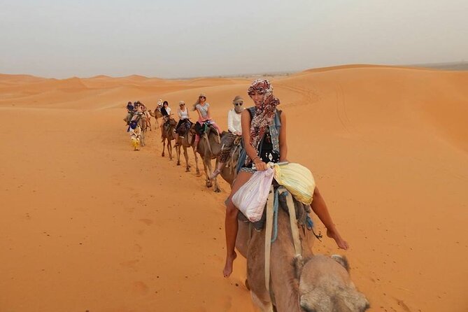 Camel Trek With 1 Night in Luxury Camp With Dinner Sundbording - Experience Highlights