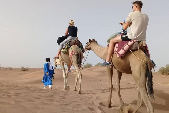 Camel Trekking Dubai With Morning Dune Bashing and Sand Boarding - Key Points