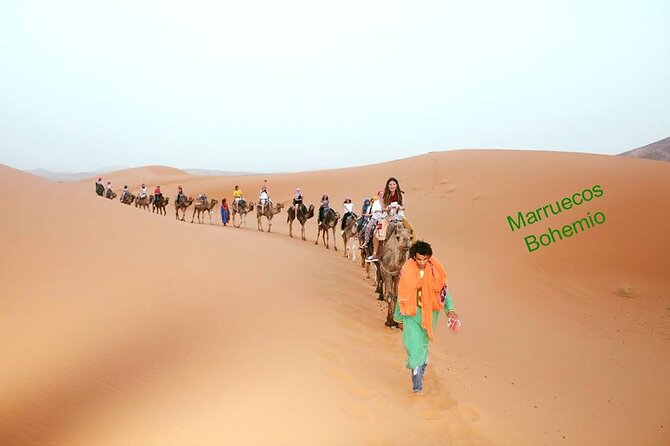 Camel Trekking in Desert Merzouga for 1Night In Merzouga - Key Points