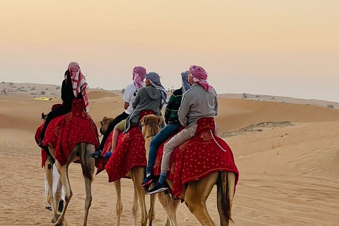 Camel Trekking Tour in Dubai Desert BBQ Dinner Sand Boarding Live Shows... - Key Points