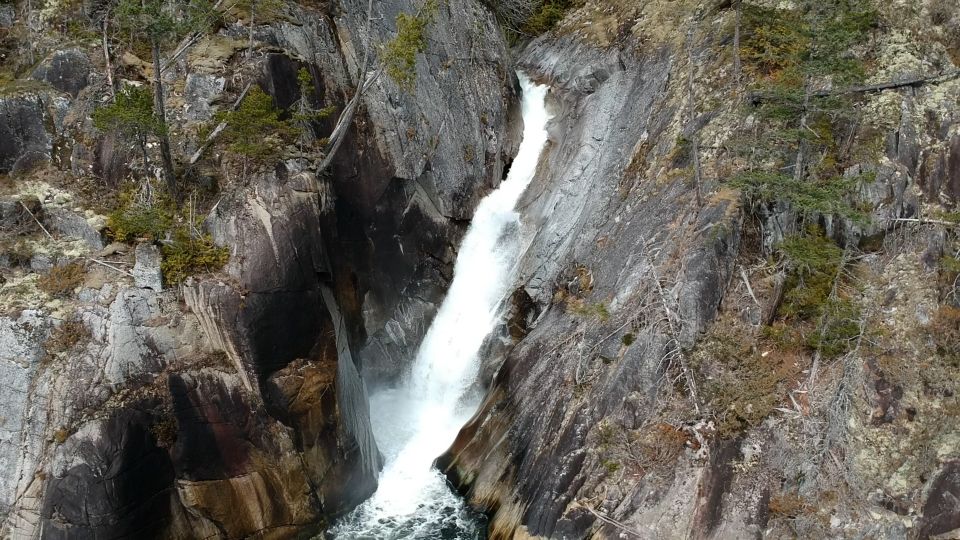 Campbell River: Waterfall and Wildlife Guided Boat Tour - Key Points