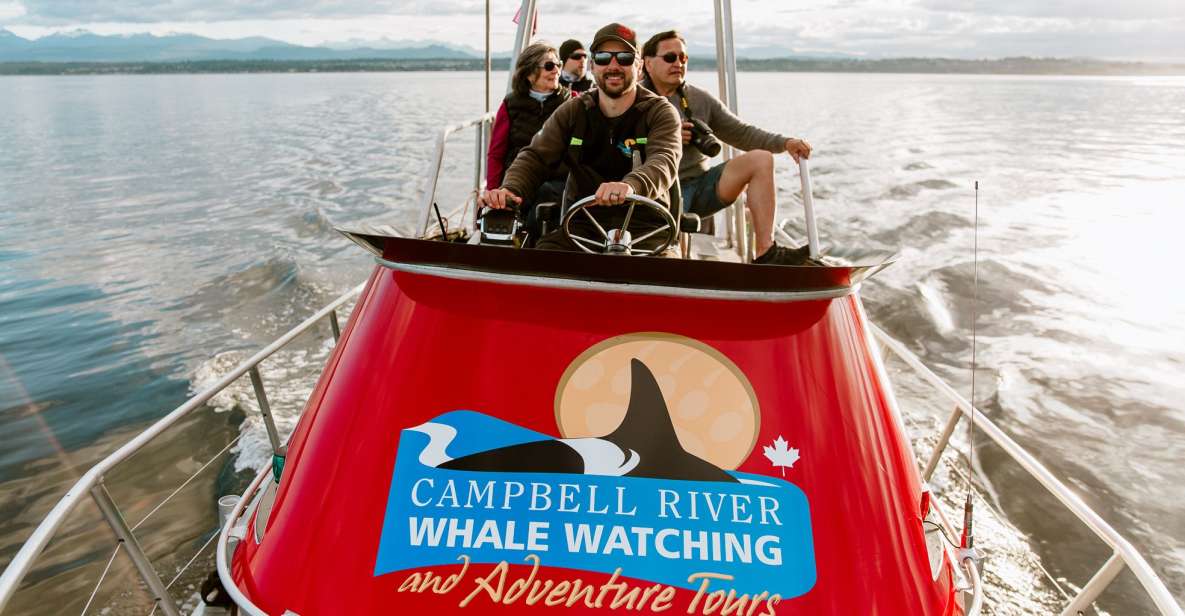 Campbell River: Whale Watching and Wildlife Viewing Day Tour - Key Points