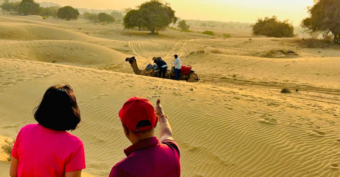 Camping With Cultural Program Sleep Under the Stars on Dunes - Key Points