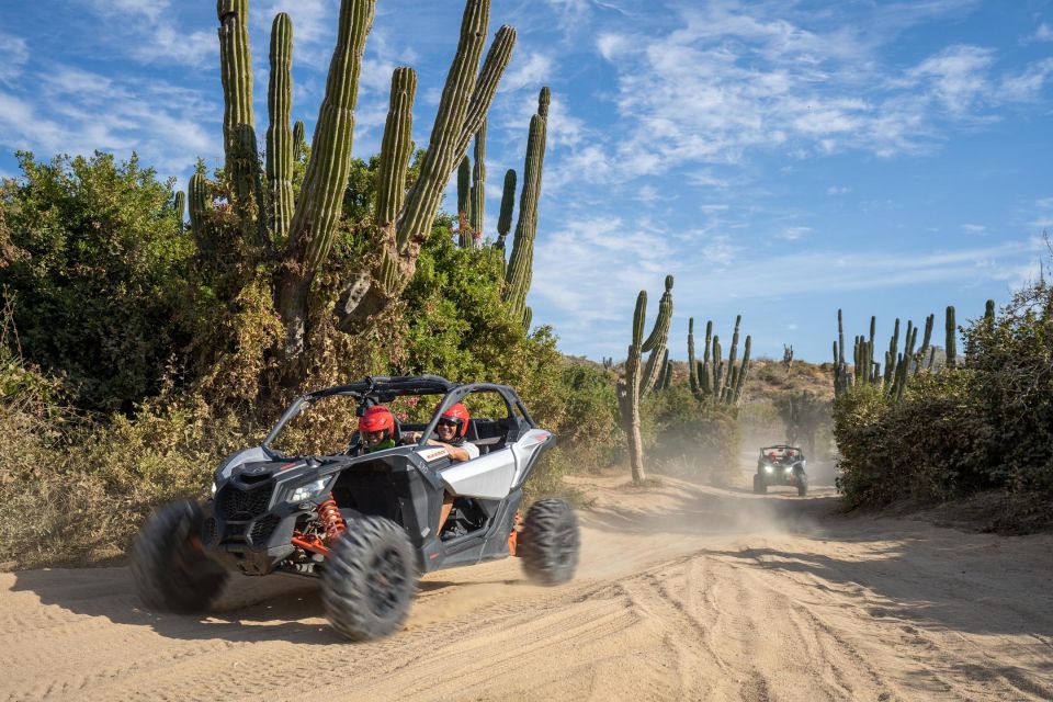 Can-Am X3 Turbo Adventure: Cabo Desert Trails & Beach Ride - Key Points