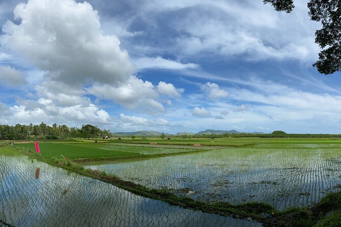 Can-Umantad Falls and Candijay Rice Terraces Eco Tour - Visual Content