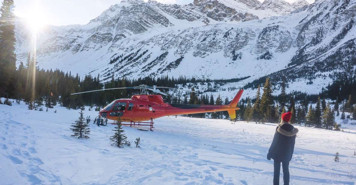 Canadian Rockies: Abraham Lake Ice Bubbles Helicopter Tour - Key Points