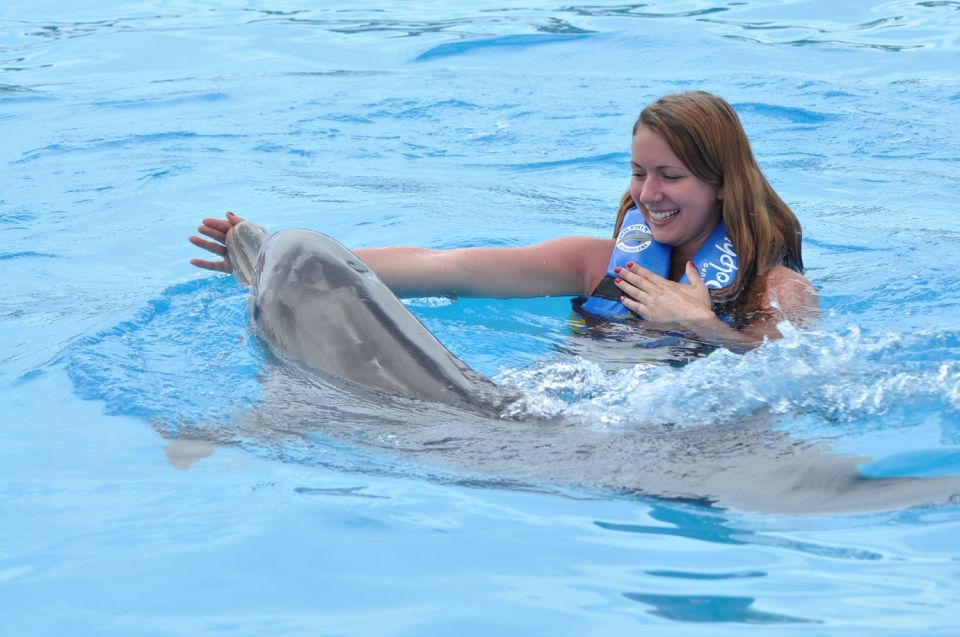 Cancún: Dolphin Swimming Program on Isla Mujeres With Buffet - Key Points