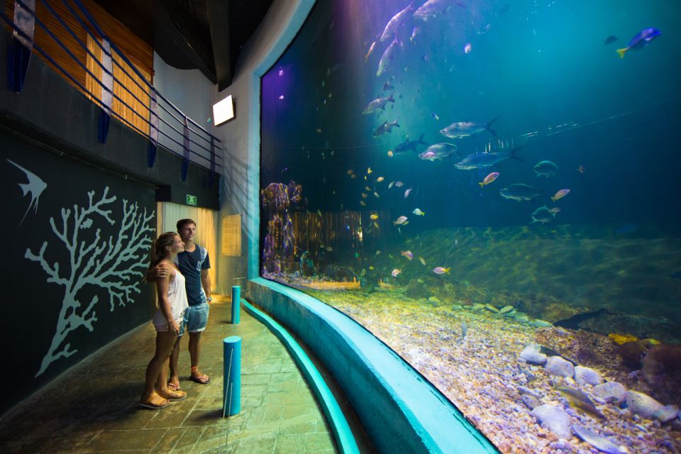 Cancún: Interactive Aquarium Entrance Ticket - Key Points