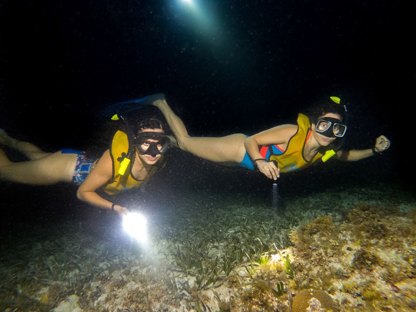 Cancun: Moonlight Snorkeling Tour With Transfer - Key Points