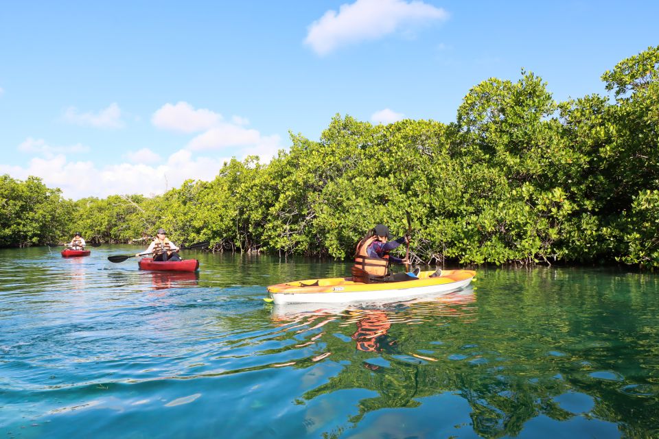 Cancun: Morning Kayak Adventure - Key Points