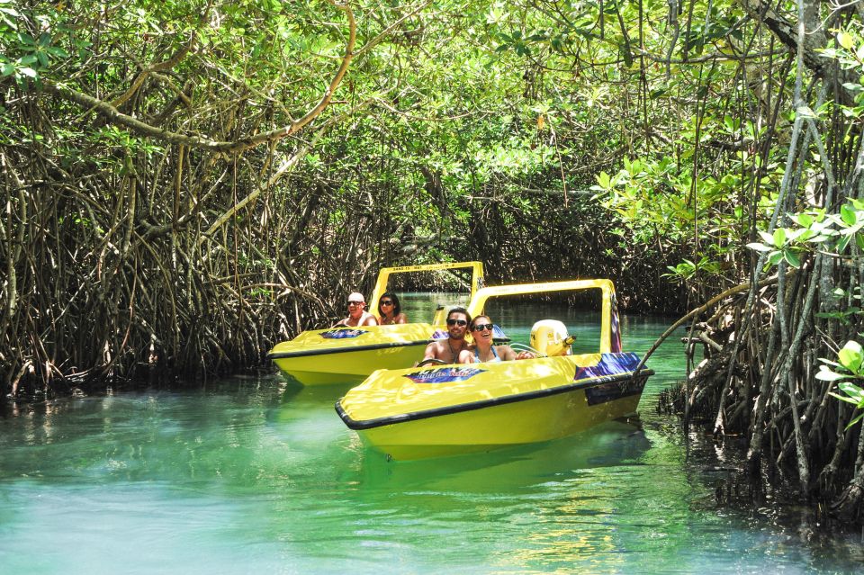 Cancun: Speedboat Mangrove Jungle & Snorkel Tour - Key Points