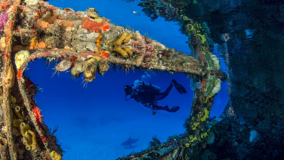 Cancún: Wreck and Reef for Certified Scuba Divers - Key Points