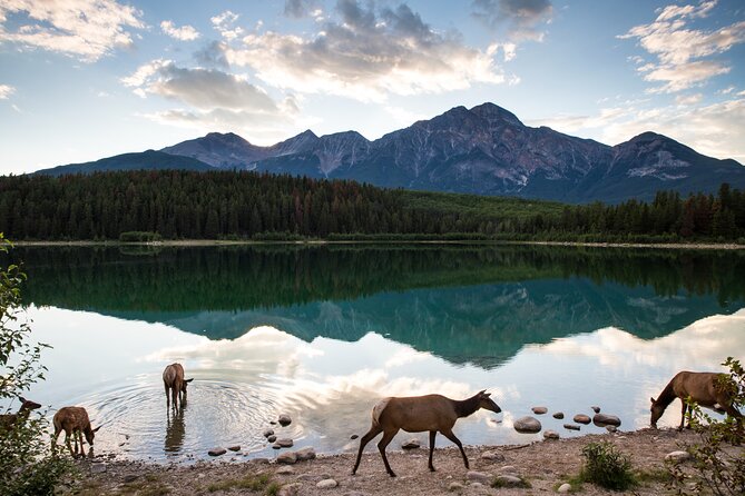 Canmore: Best of Banff National Park - Private Tour - 4hrs - Key Points
